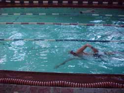 swim2.jpg (14303 bytes)
